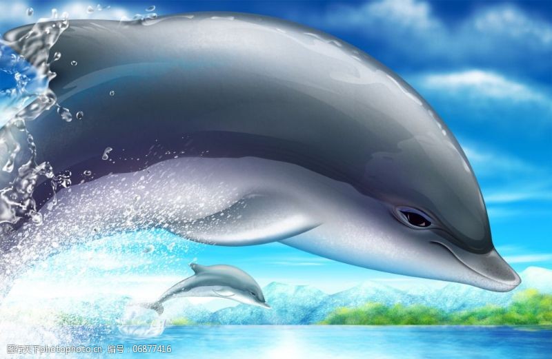 海豚免费下载海豚公益海报背景