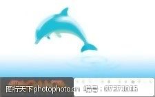 海豚免费下载海豚向量
