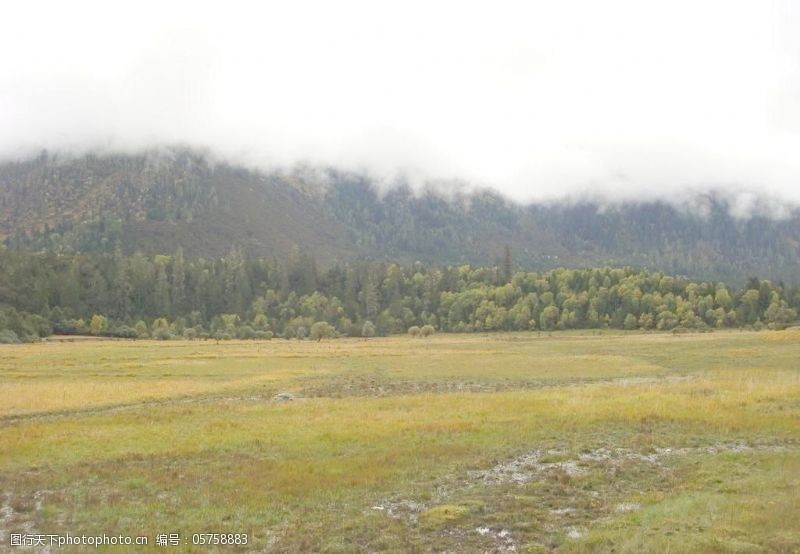 西藏风景免费下载草场
