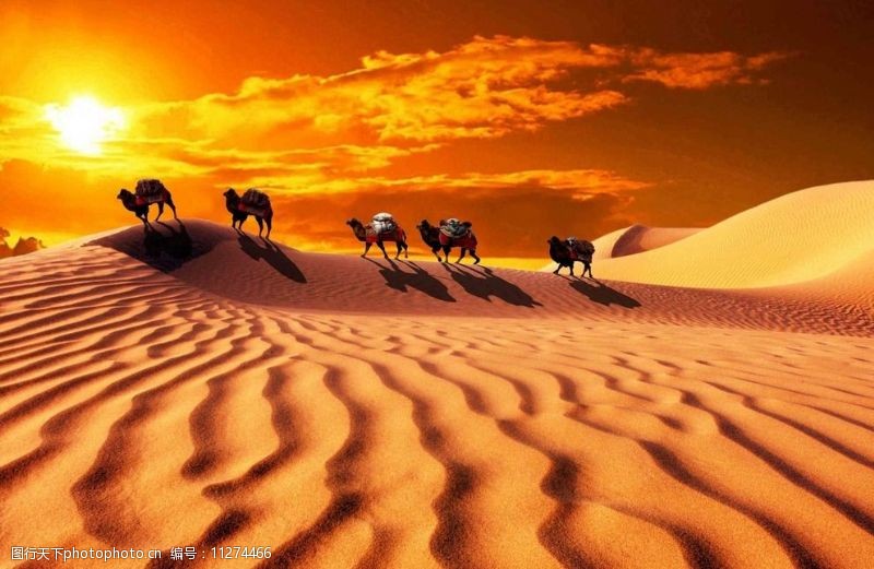 吉林内蒙古巴丹林吉沙漠图片