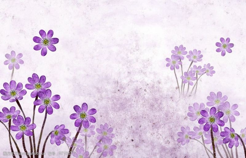 绚烂背景下载紫色小花