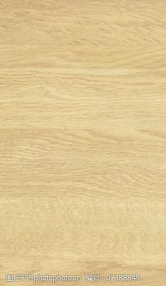 3d木纹橡木16木纹木纹板材木质