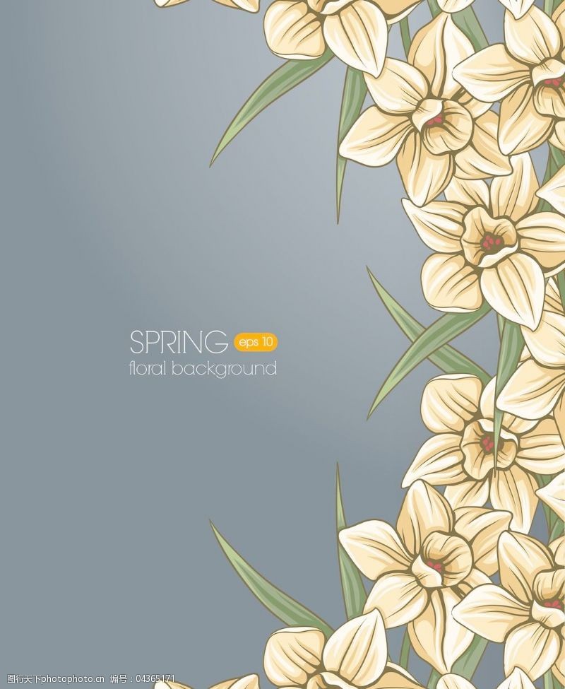 春天的背景随着春天的花朵和框架花卉背景矢量插画