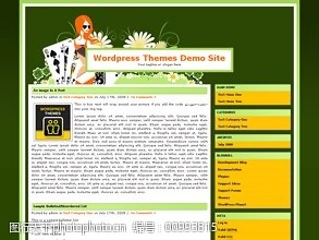 网页代码网上赌场模板183