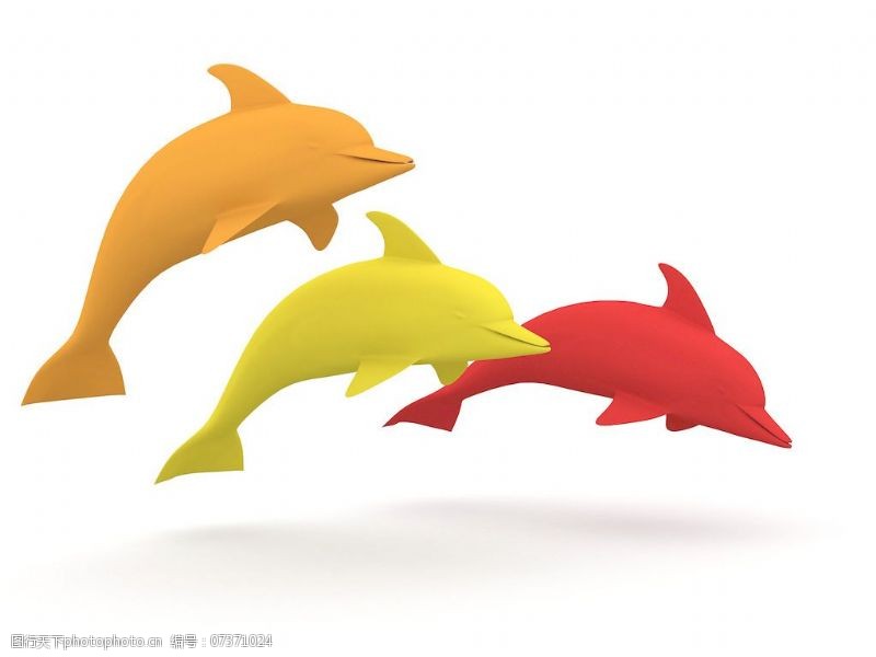 海豚免费下载彩色的海豚