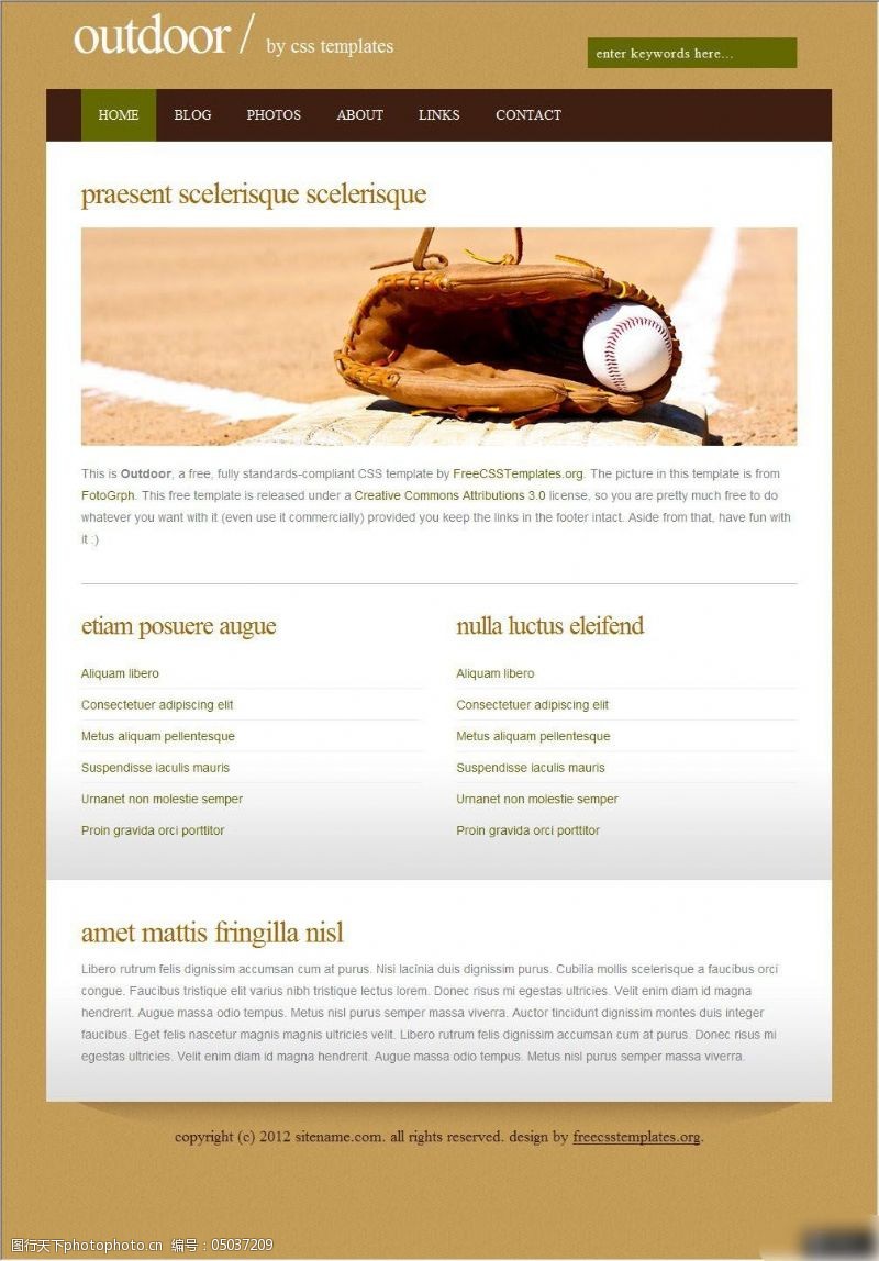 网页设计免费下载棒球运动类网页设计