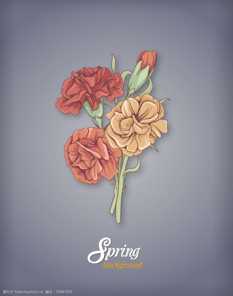春天的背景春天开花的花卉背景矢量插画
