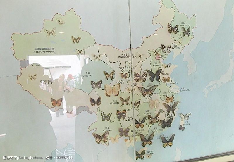 谷物免费下载中国蝴蝶分布图图片