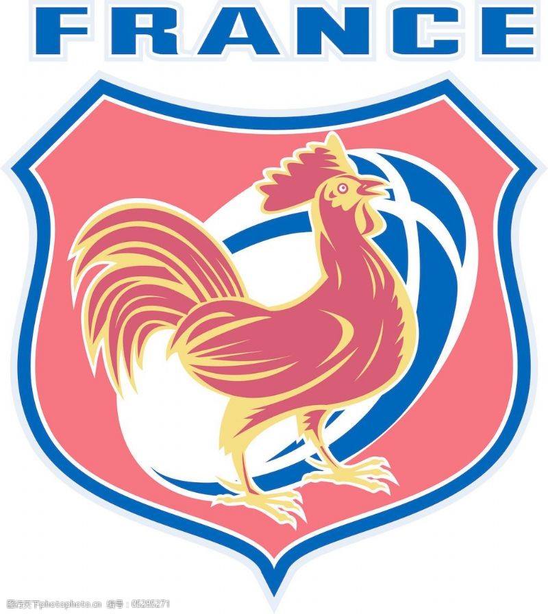 鸡公榄法国橄榄球公鸡的吉祥物