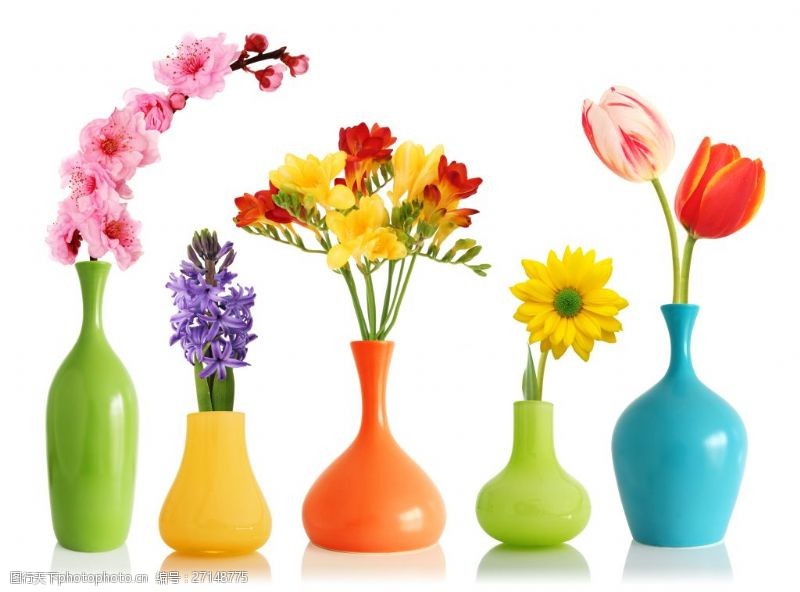 各种各样的花花瓶里的花朵