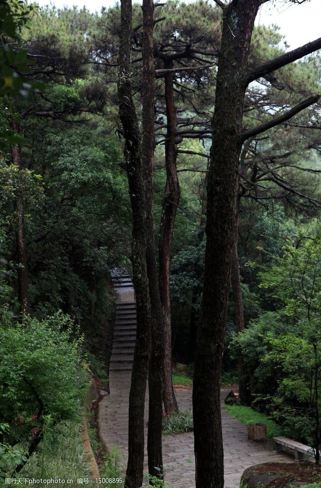 公园漫步福州森林公园图片