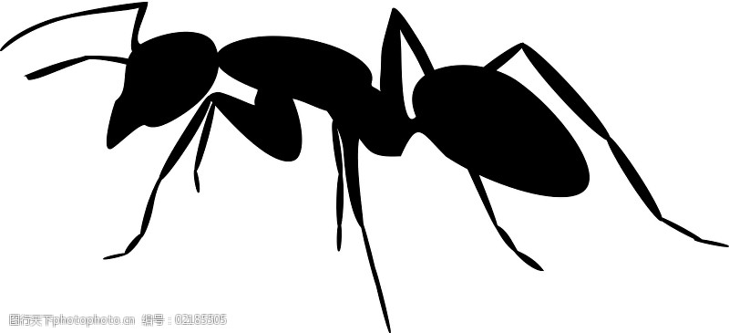silueta3蚂蚁的剪影