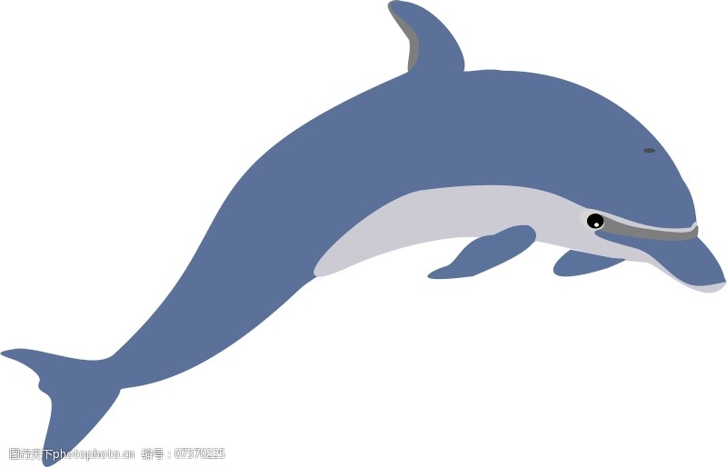 海豚免费下载另一个海豚