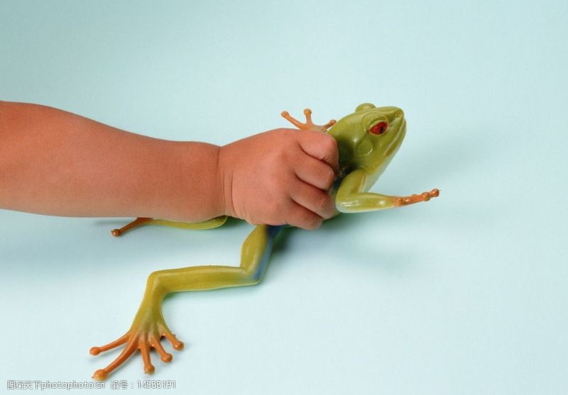 青蛙手势图片