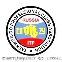 跆拳道免费下载跆拳道专业俱乐部协会俄罗斯