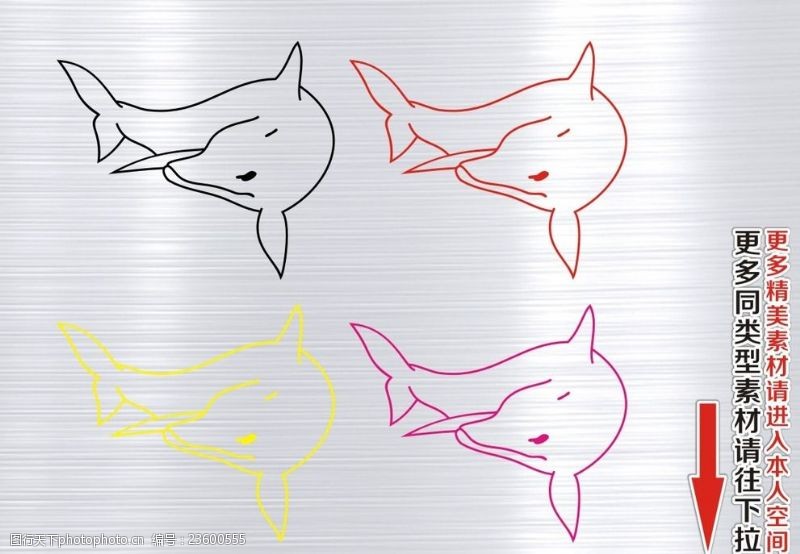 海豚飞跃动物