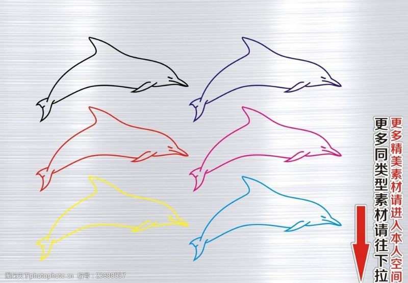 海豚飞跃动物