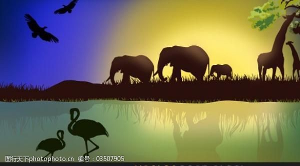 软件下载页面设计非洲的动物景观背景