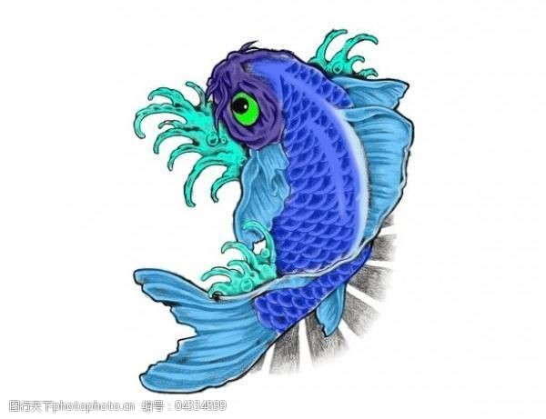 独特的美丽的蓝色的锦鲤鱼PSD图