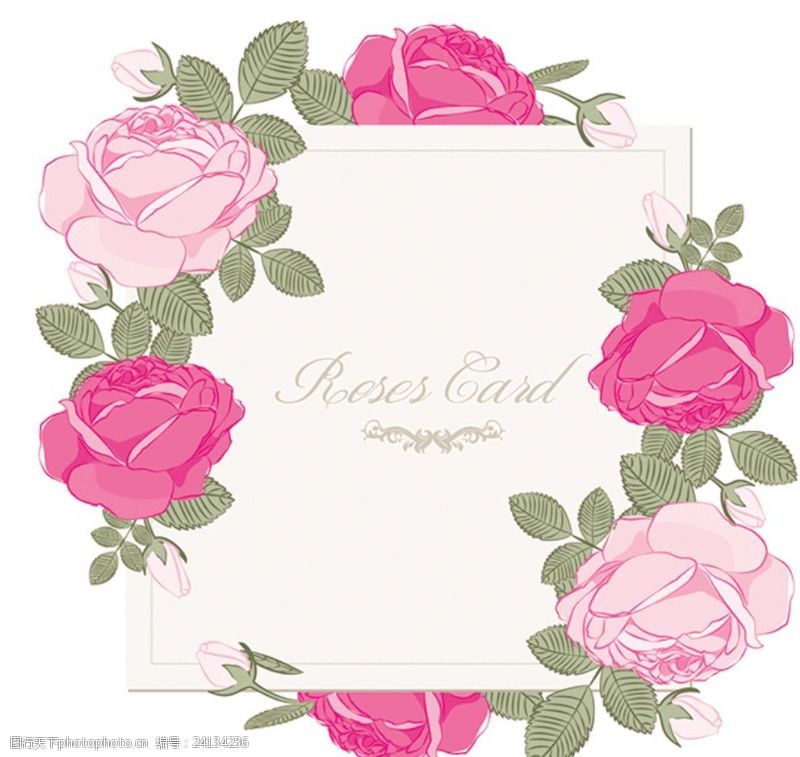 粉色玫瑰花背景相框花框