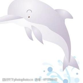 海豚免费下载海豚7向量