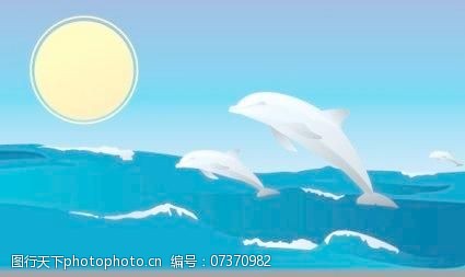 海豚免费下载快乐的海豚