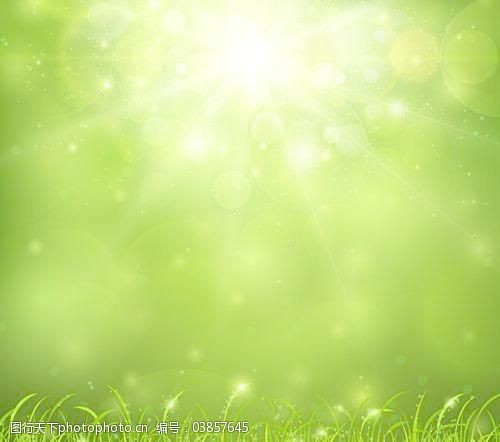春天的背景绿色自然阳光背景矢量