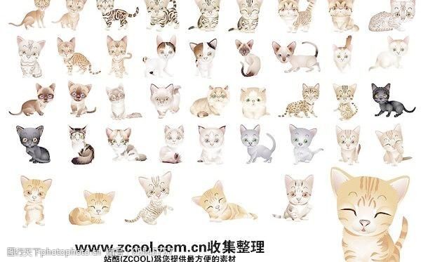 可爱的小猫咪矢量素材40品种