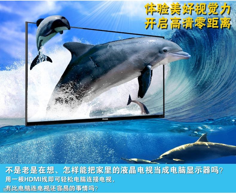 海豚免费下载海豚海报