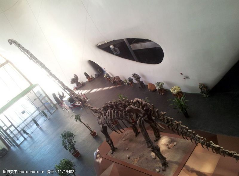 展览馆鄂尔多斯博物馆恐龙展图片