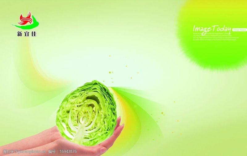 绿色食品底色绿色食品图片